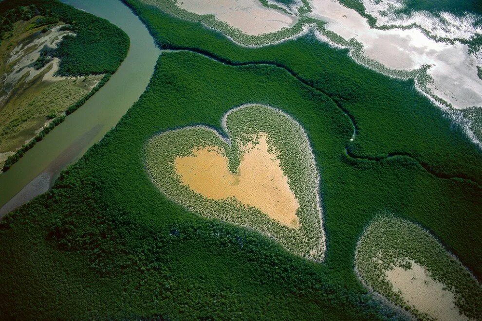 Красота планеты земля. Yann Arthus-Bertrand. Мангровый лес в новой Каледонии.