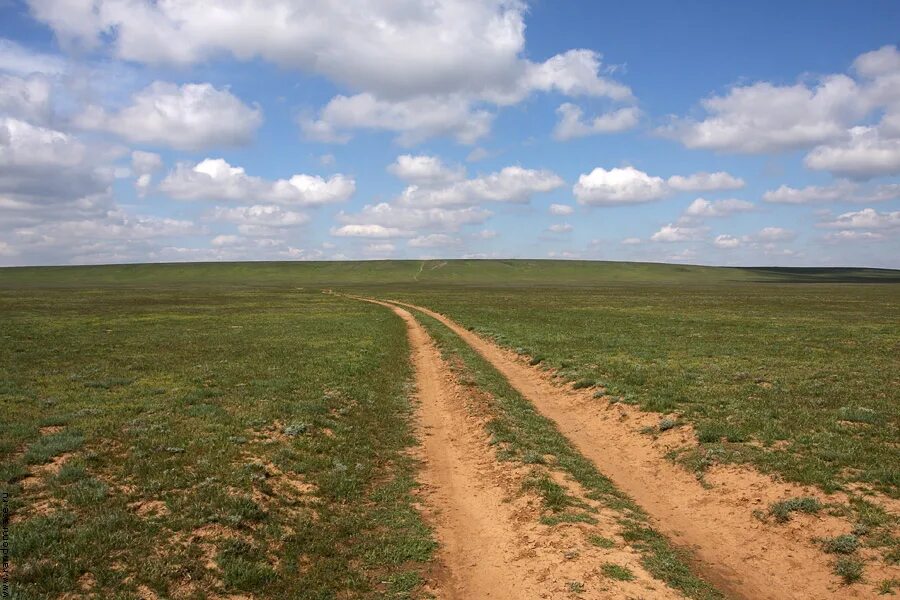 Пыль дороги да степной. Степь с дорогой. Дорога в степи. Дорога в степи Казахстана. Широкая Степная дорога.