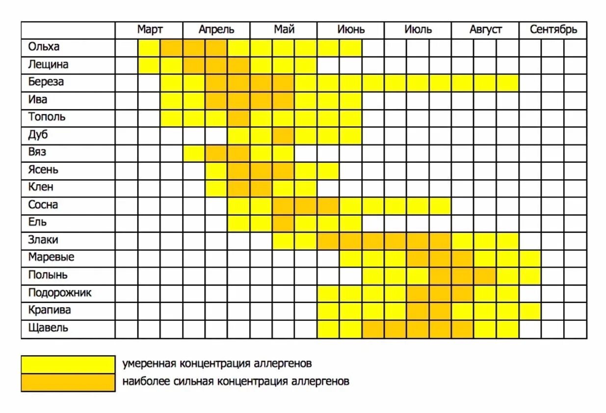 График цветения березы