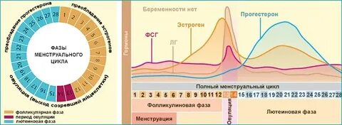Транние спермы в қыздардың аузына компиляция
