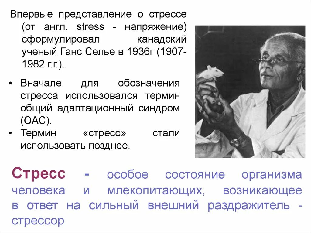 Стресс без стресса селье. Ученый Ганс Селье. Канадский ученый г Селье. Канадский врач Ганс Селье. Канадский биолог Ганс Селье (1907–1982).