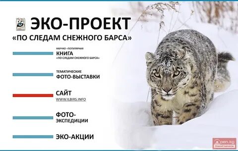 Барс удмуртия
