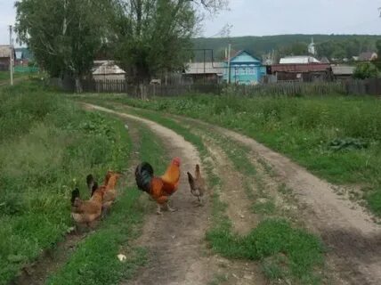 Погода в селе большой вьяс