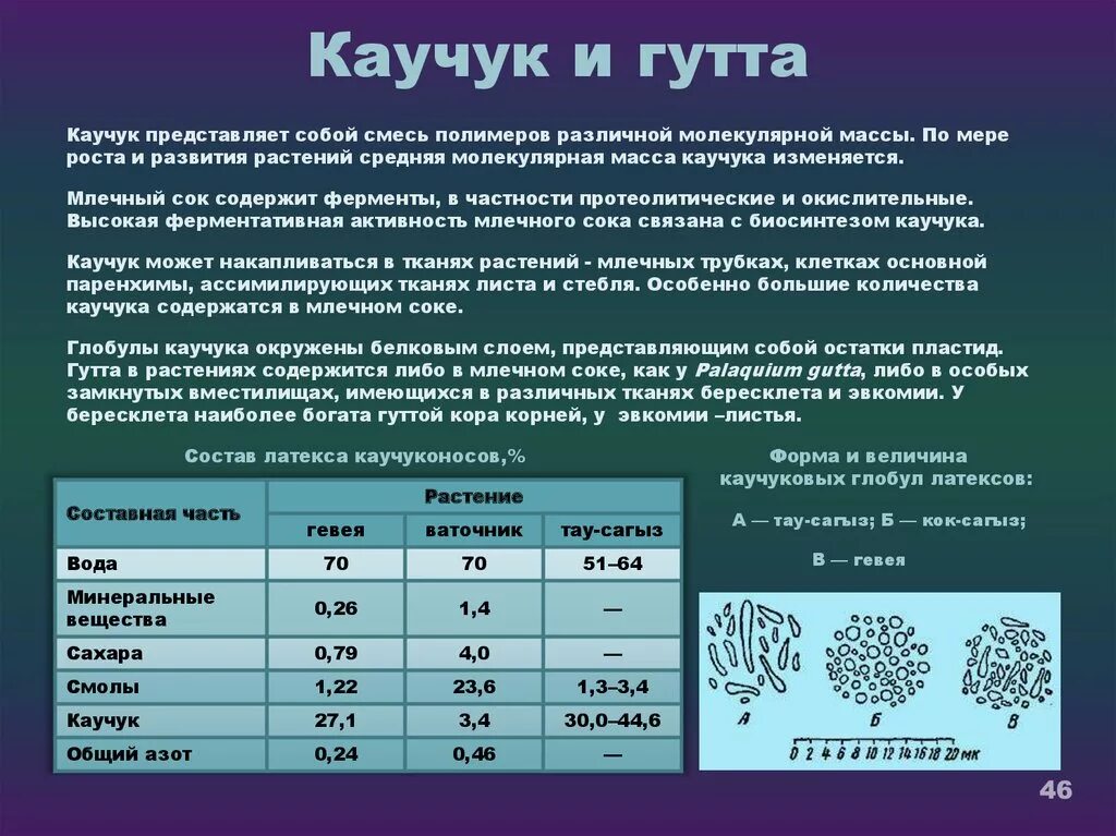 Каучук курской области. Молекулярная масса натурального каучука. Какова молекулярная масса каучука. Средняя молекулярная масса каучука. Молекулярная масса эластомеров.