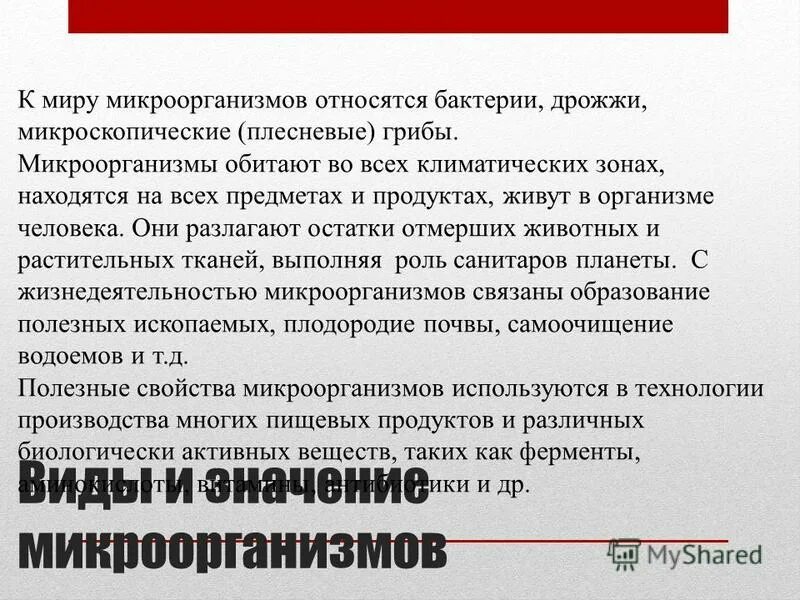 Микроорганизмы и их использование. Микроорганизмы и их использование