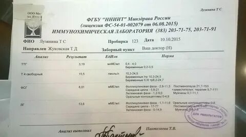Нмт узнать результат