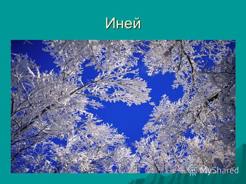 Какие зимние явления природы. Какие зимние явления природы