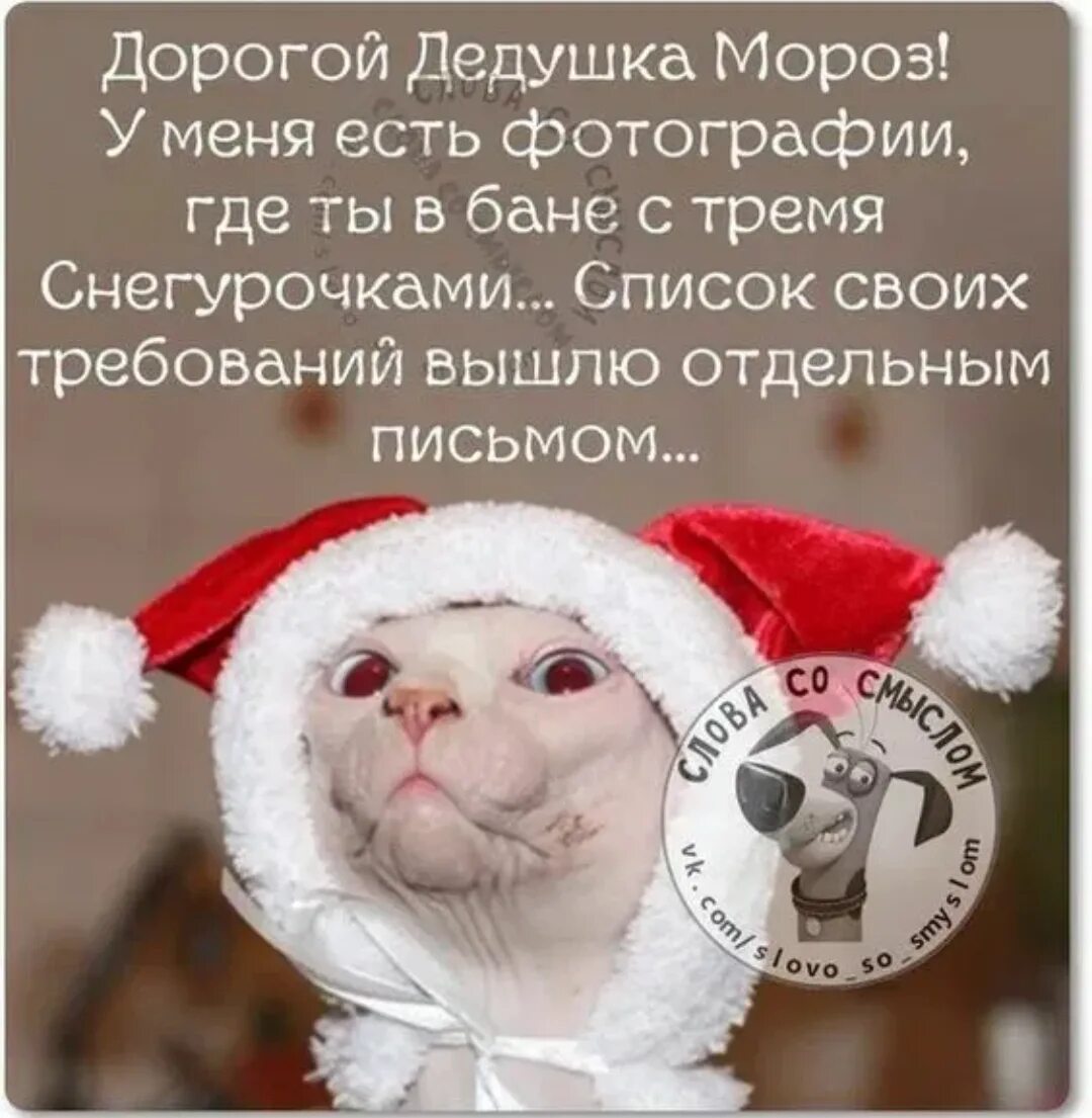 Новый год какие мысли. Новый год смешные. смешные цитаты про новый год. новогодние афоризмы с картинками. скоро новый год юмор.