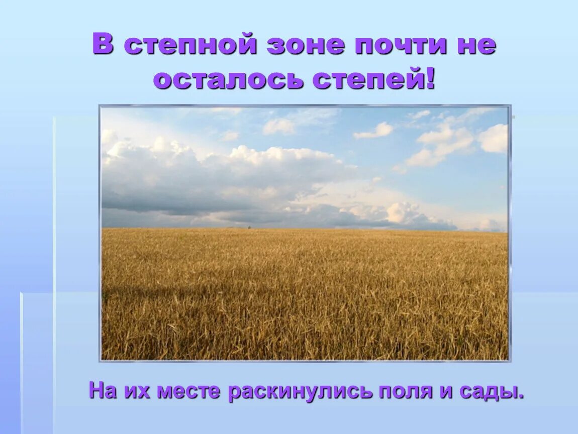 Зона степей презентация. Степная зона презентация. Степи окружающий мир 4 класс. Степь природная зона. Главное богатство степей