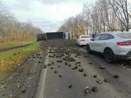 Губкин белгородская область обстрел сегодня