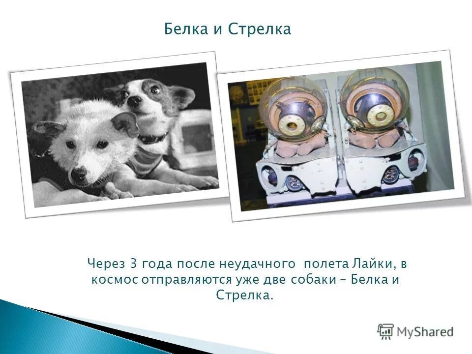 белка стрелка часы