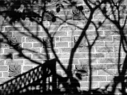 Wall of shadow