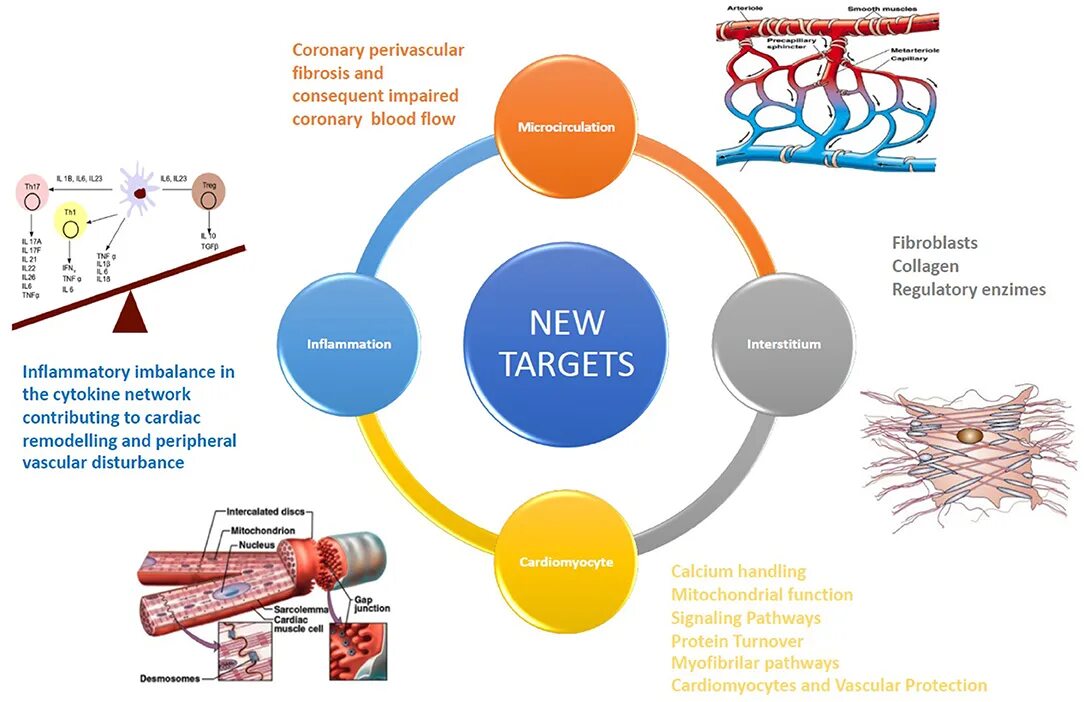 Targeted solution