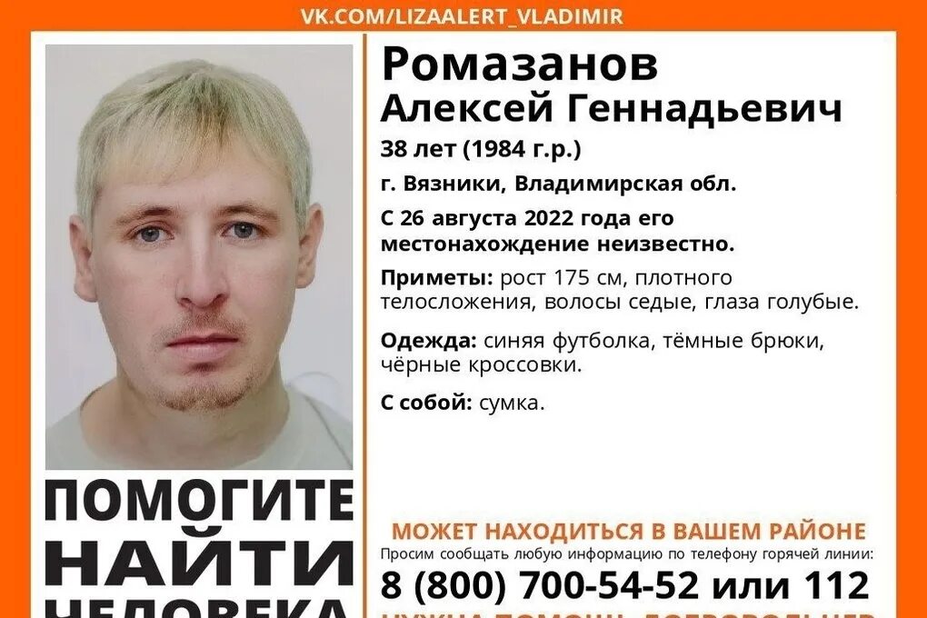 пропавшие дети 2020 года. лиза алерт владимирская обл. найти человека владимирская область. найти человека владимирская область. найти человека владимирская область.