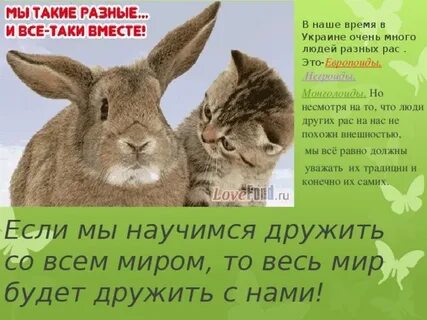 Мы такие разные