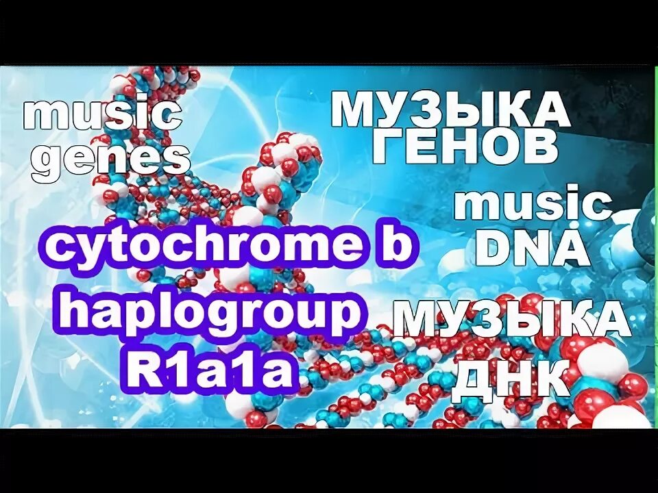 ДНК песня. Музыка генов. Песня DNA. Геном музыка.