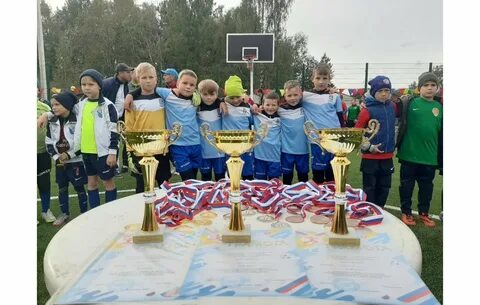 Мо низинское сельское поселение