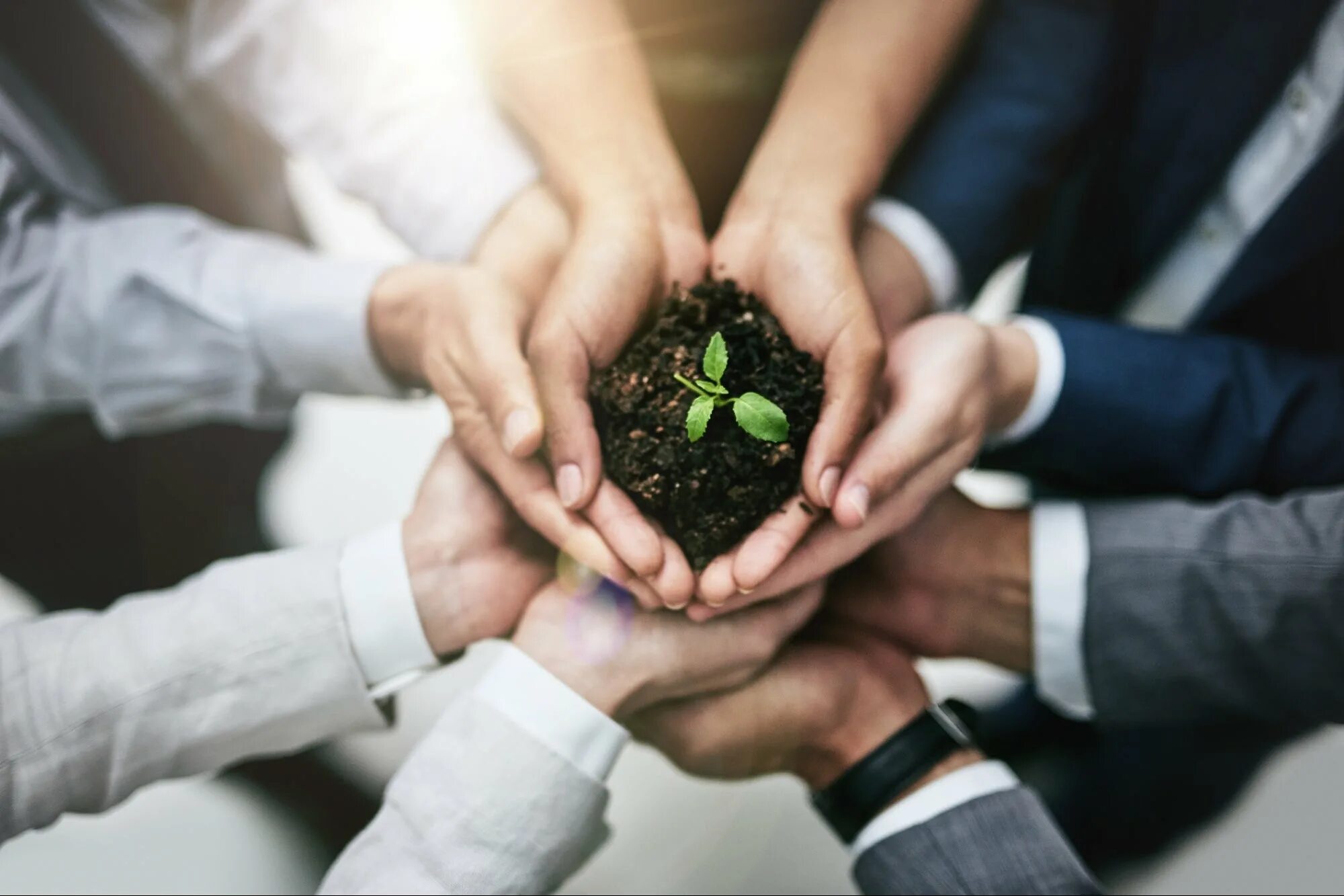 Картинка sustainability. Corporate sustainability. Экология и бизнес. Корпоративная социальная ответственность. Ценности картинки.
