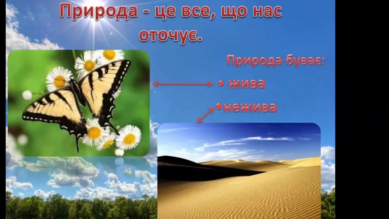 Проект Живая природа. Живая природа для дошкольников. Реферат Живая природа. Живая и неживая природа 5 класс.