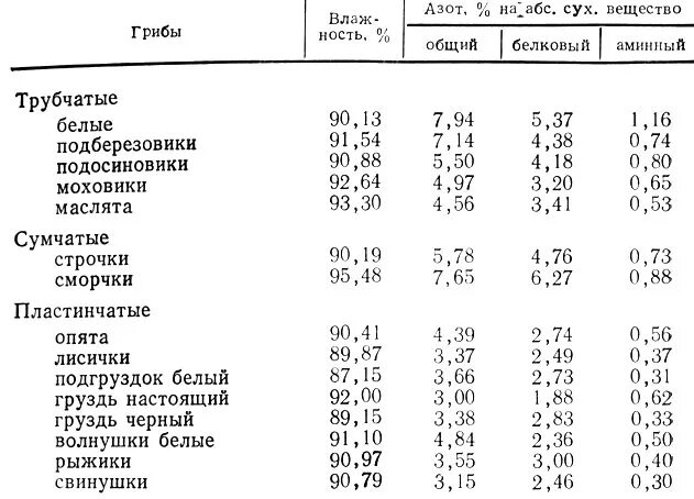 Состав гриба белок