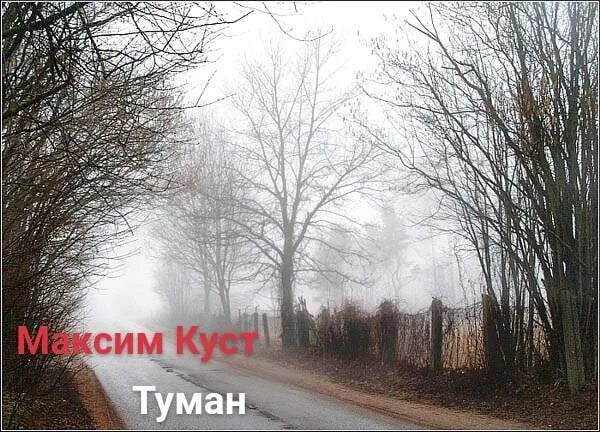 Giдеревья туман утро. Июньский туман фото краснодар. Туман в июне. Морось. Куст туман.