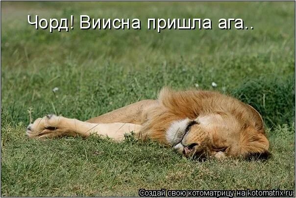 Паши не лениво если хочешь жить. Паши не лениво если хочешь жить. Добрая слава лежит а худая бежит синтаксический разбор. Паши не лениво если хочешь жить. Паши не лениво если хочешь жить.