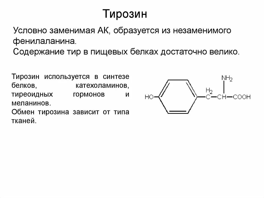 что такое тирозин. биогенные амины триптофана. что такое тирозин. тирозин аминокислота. тирозин строение аминокислоты.