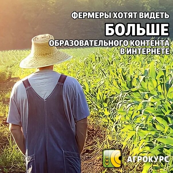 Сельскохозяйственные растения. Фермеры в японии. Фермерам запретят выращивать рис. Фермерам запретят выращивать рис. Фермеры на рисовых полях.