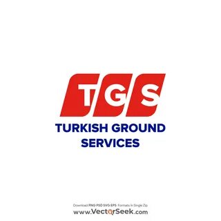 Tgs формат
