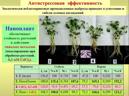 Металла растение