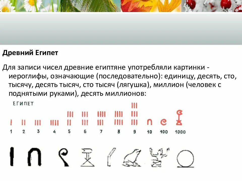 Считали какой вид. Цифры древних египтян. обозначение цифр в древнем египте. как считали древние египтяне. в древнем египте цифра 5.