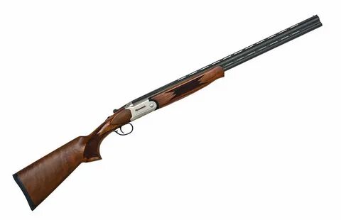 Beretta silver pigeon