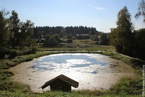 Куркино шаховская