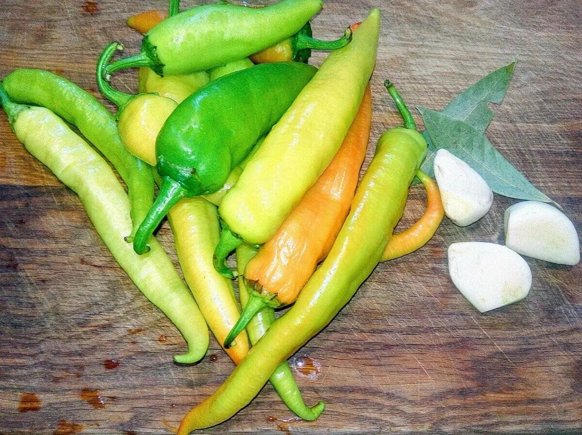 Сорт перца цицак. Перец острый армянский цицак. Перец острый армянский цицак. Сорт перца цицак. Сорт горького перца цицак.