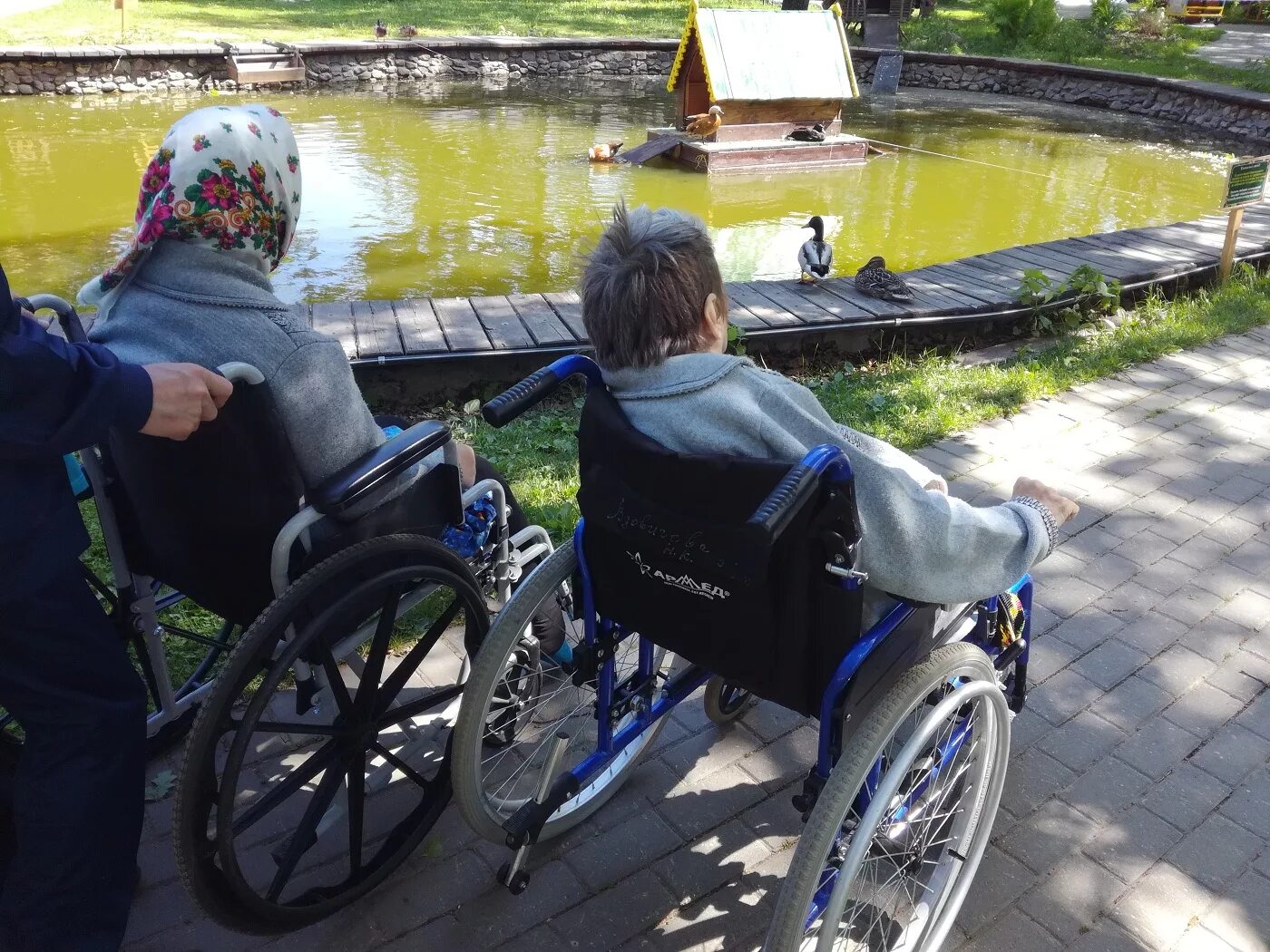 Выезд на природу с инвалидами