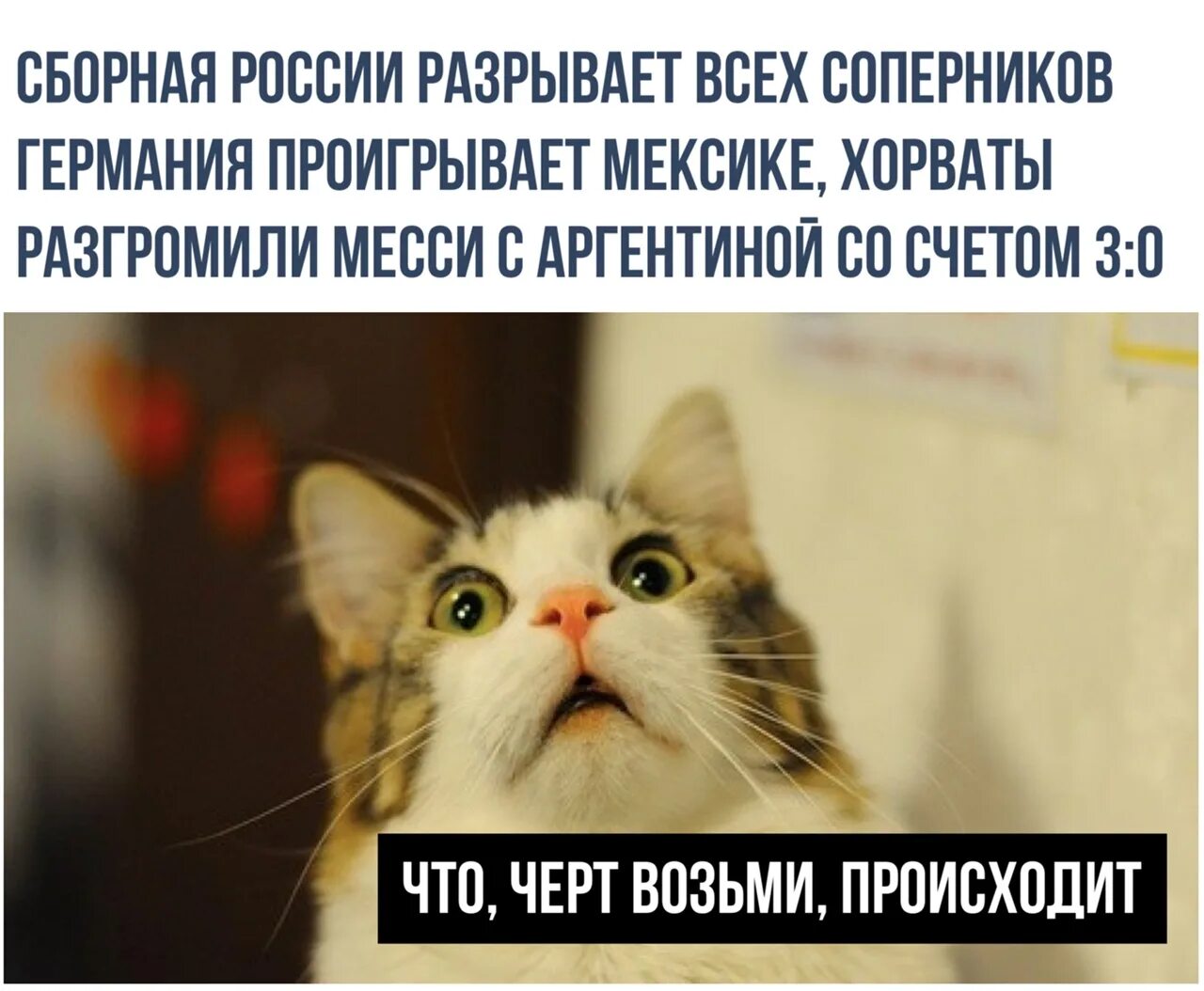 Что здесь происходит мем. Что черт возьми происходит. Что черт возьми происходит Мем. Что тут черт возьми происходит. Что происходит Мем.