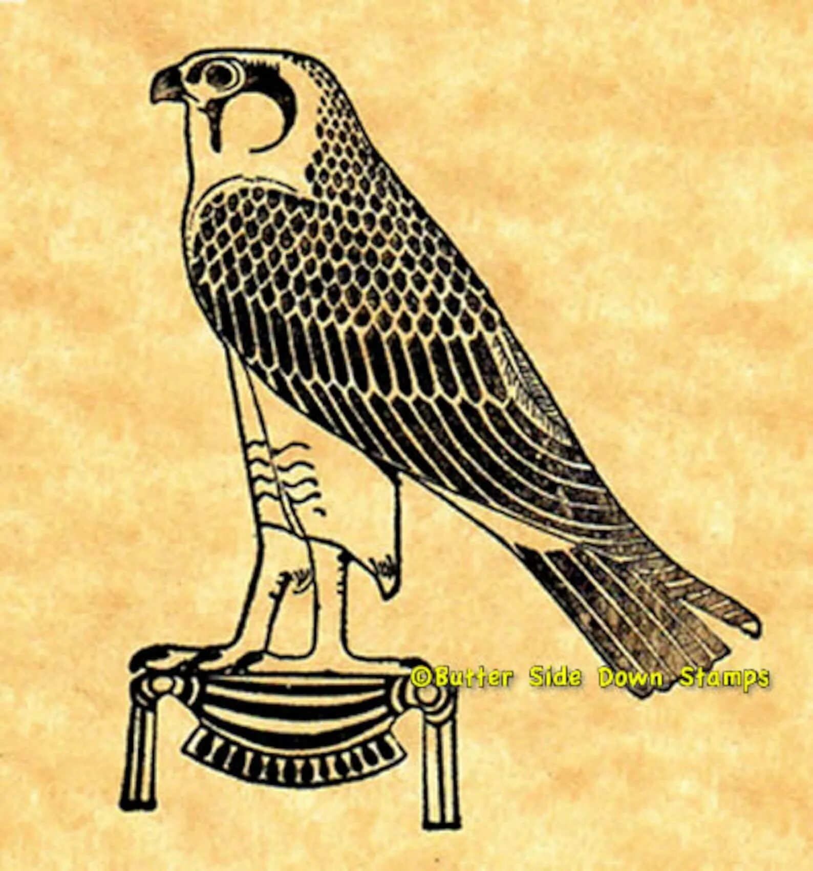 Египет птица символ. Сокол falcon horus. сокол falcon horus египетская. символ сокола египет. птица бенну древний египет.