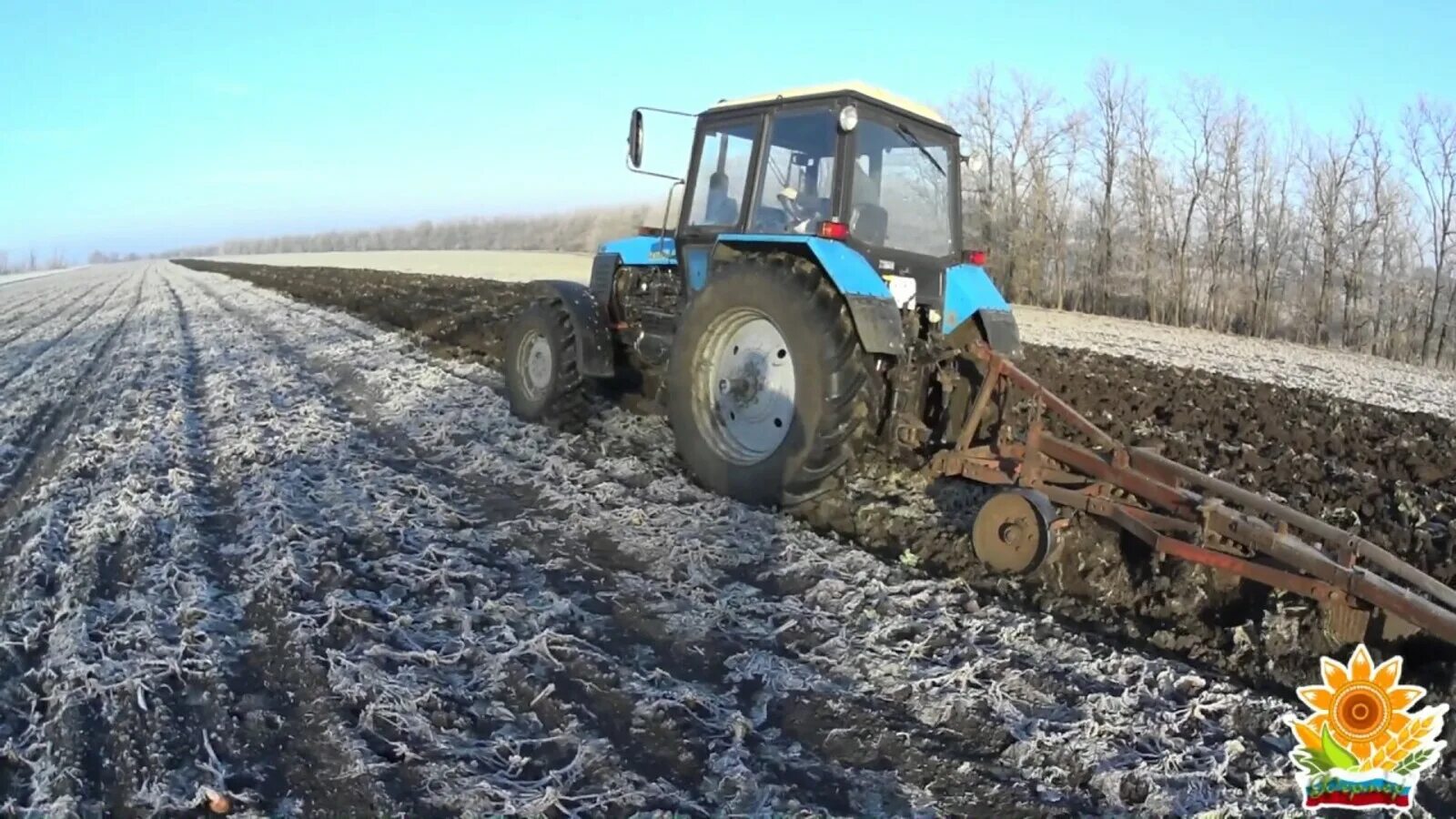 МТЗ 1221 С плугом. МТЗ 1221 пахота. Вспашка зяби на МТЗ 1221. МТЗ 1221 С плугом пашет.