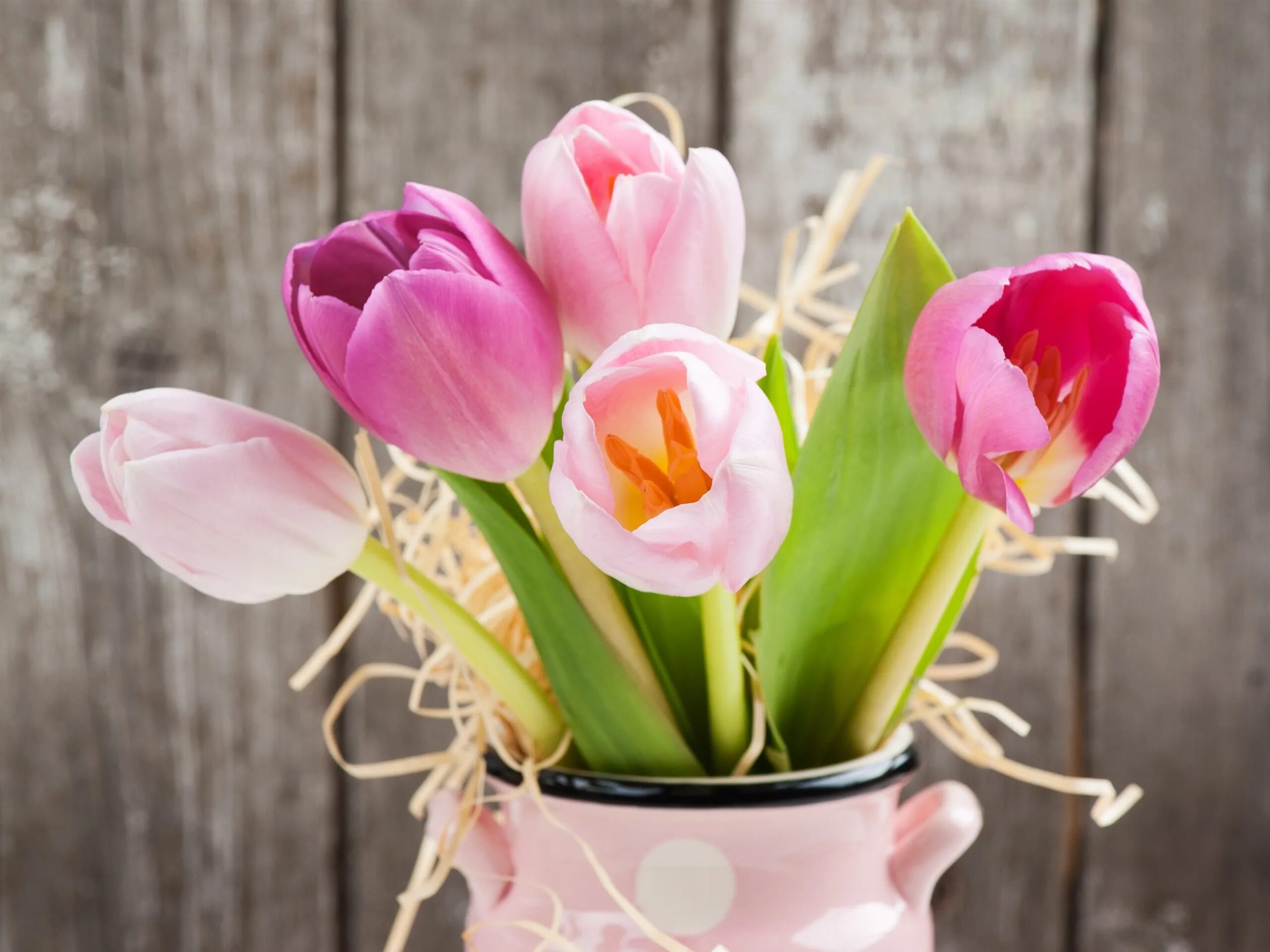 Розовые тюльпаны к чему. Creme Fraiche тюльпан. Цветы тюльпаны. Розовые тюльпаны. Весенние цветы тюльпаны.