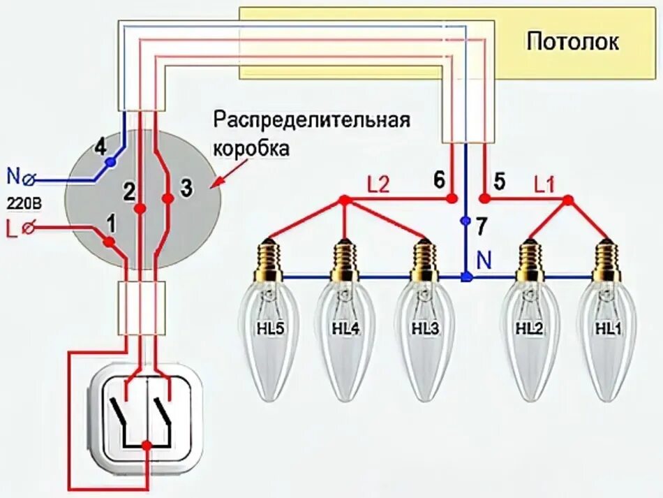 Подключить люстру на двойной выключатель на 3 провода схема. Схема подключения лампочек 6 и 2 выключателя. Схема подключения светильников через выключатель с заземлением. Подключить люстру 3 провода на 2 провода. Схема подключения трехжильного провода к двойному выключателю.