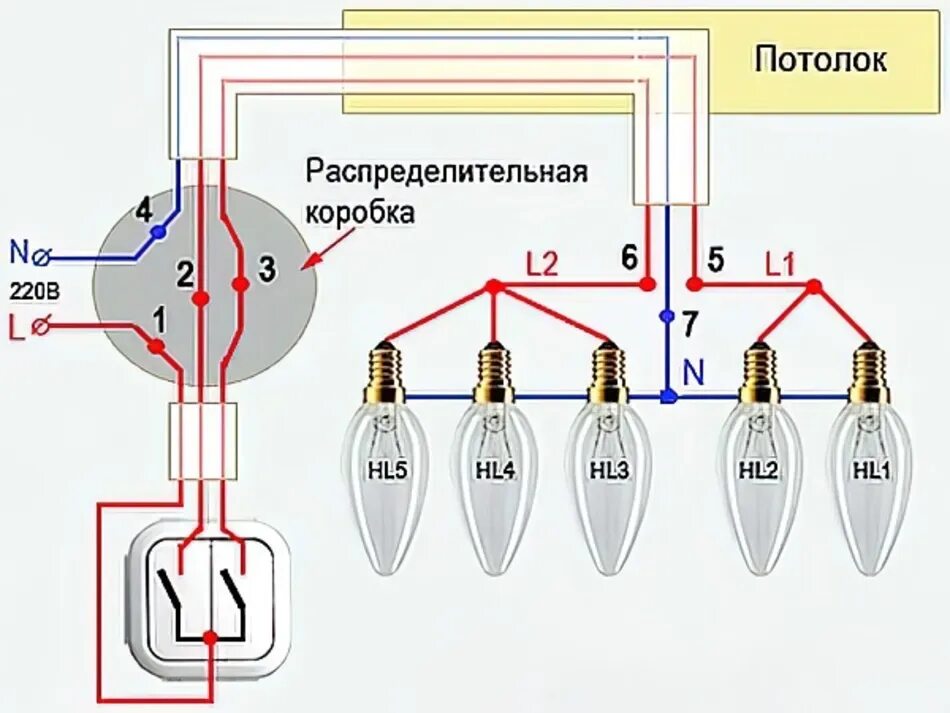 Схема подключения лампочек к двухклавишному выключателю. Схема подключения двухклавишного выключателя на 5 ламп. Схема подключения двухклавишного выключателя к люстре на 2 лампочки. Схема подключения проводов к двухклавишному выключателю. Соединение проводов выключателя