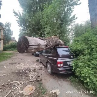 Никольское нет