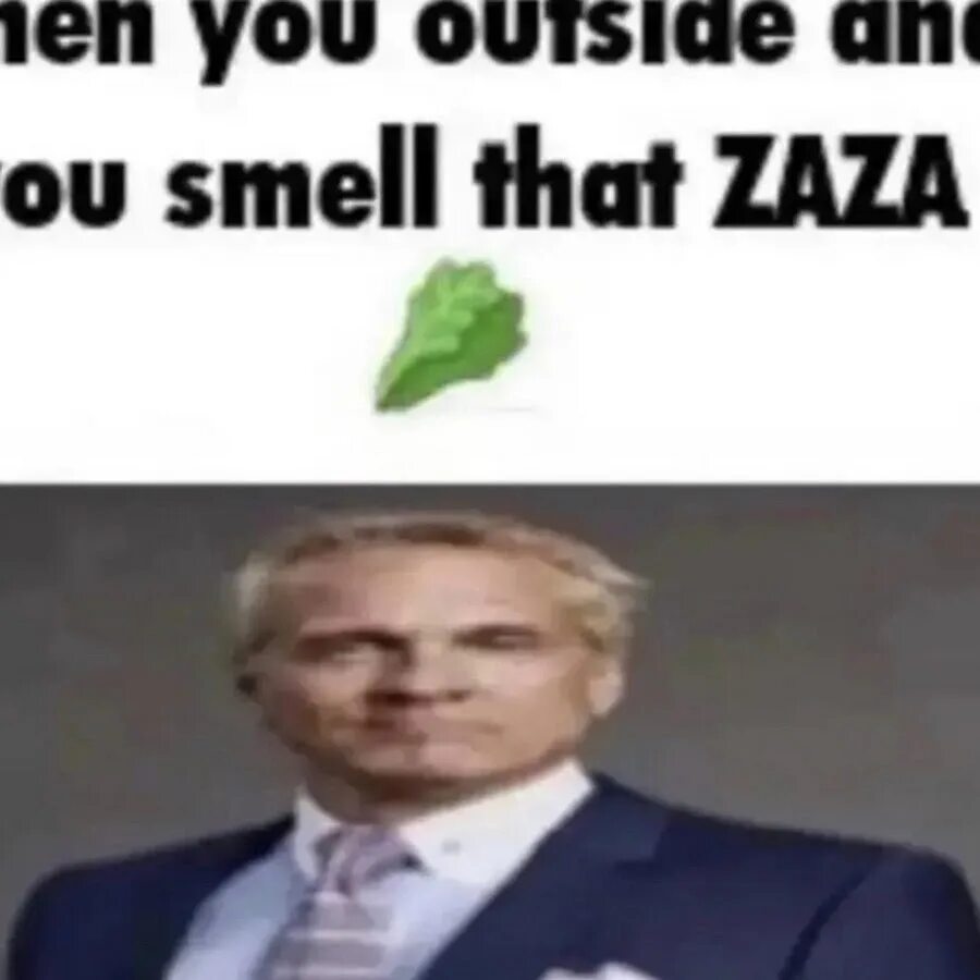 Why you smell this flower. When you smell that zaza. zaza мем. when you outside and smell that zaza. when you smell that zaza gif.