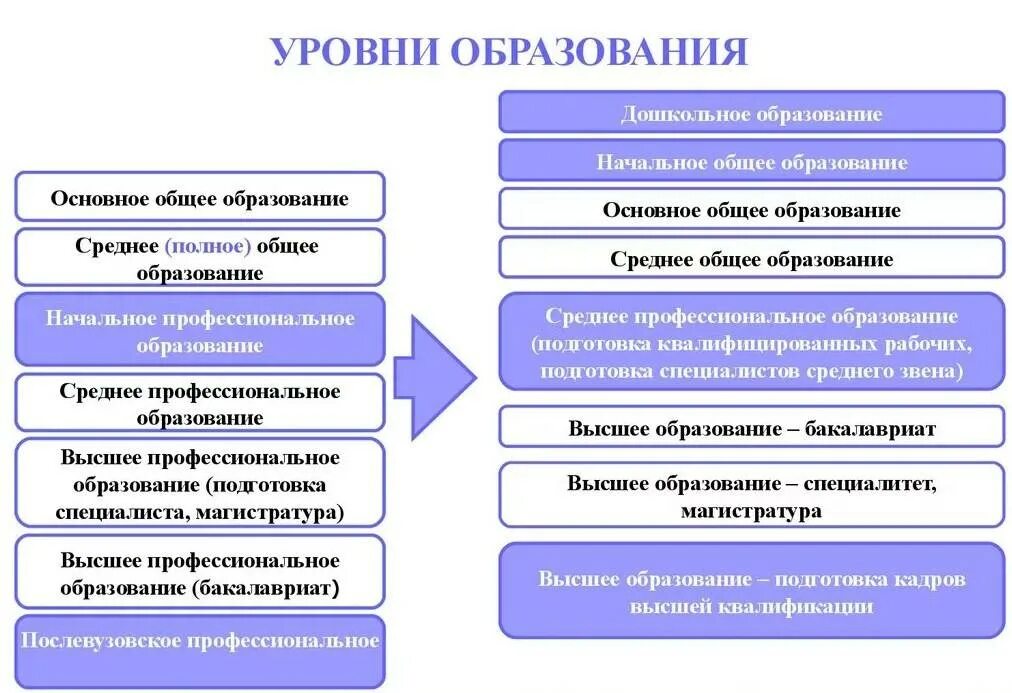 Среднее специальное и среднее профессиональное разница. Начальное основное и среднее общее образование. Уровни образования. Начальное основное среднее образование. Основное общее образовани.