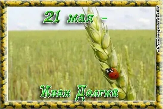 Какой сегодня праздник 21 мая. Свадьба по месяцам приметы. 21 мая приметы. Какой сегодня праздник 21 мая. Приметы мая.