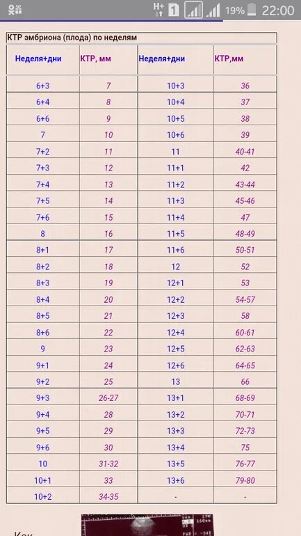 Ктр прочее. КТР мм 21,4. КТР 6.4 мм. КТР 5 5 мм. КТР 2,6 мм.