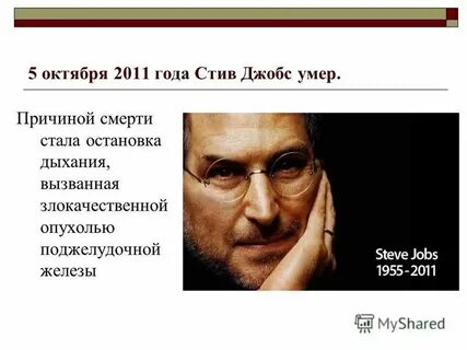 Годы жизни стива