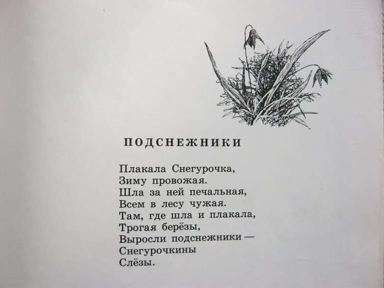 Плакала снегурочка зиму провожая стих. Стихотворение Тимофея Белозерова. Короткие стихи Тимофея Белозерова. Белозёров стихи. Стихи омских поэтов для детей.