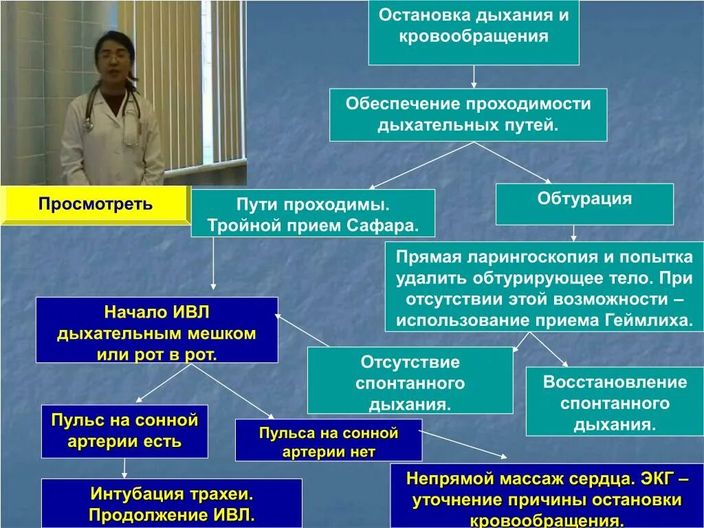 Остановка дыхания и кровообращения. Причины остановки дыхания. Причины остановки дыхания и кровообращения. 2. Остановка дыхания и кровообращения.