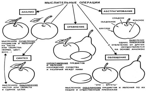 2 приведите примеры мыслительных операций 2 приведите примеры мыслительных операций